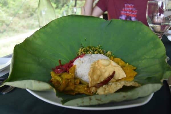 Rice and curry